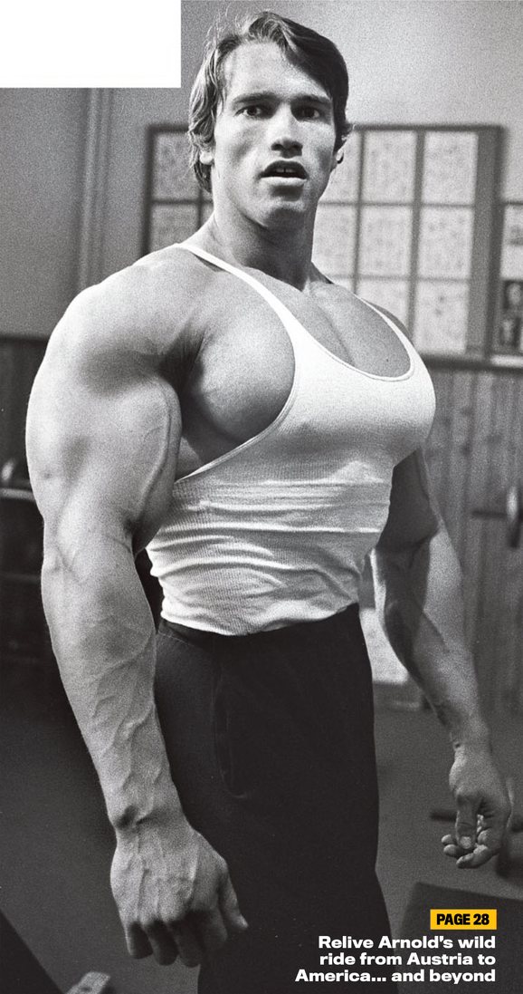 Arnold Schwarzenegger kpek